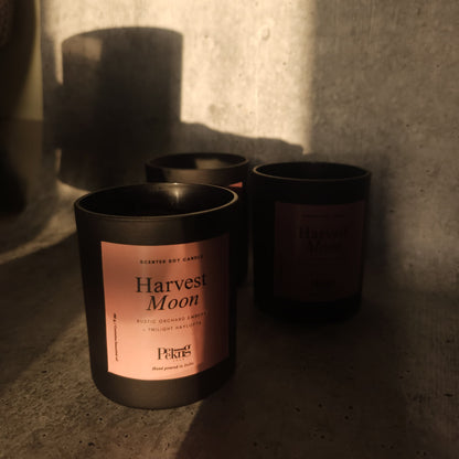 Scented Soy Candle - Harvest Moon